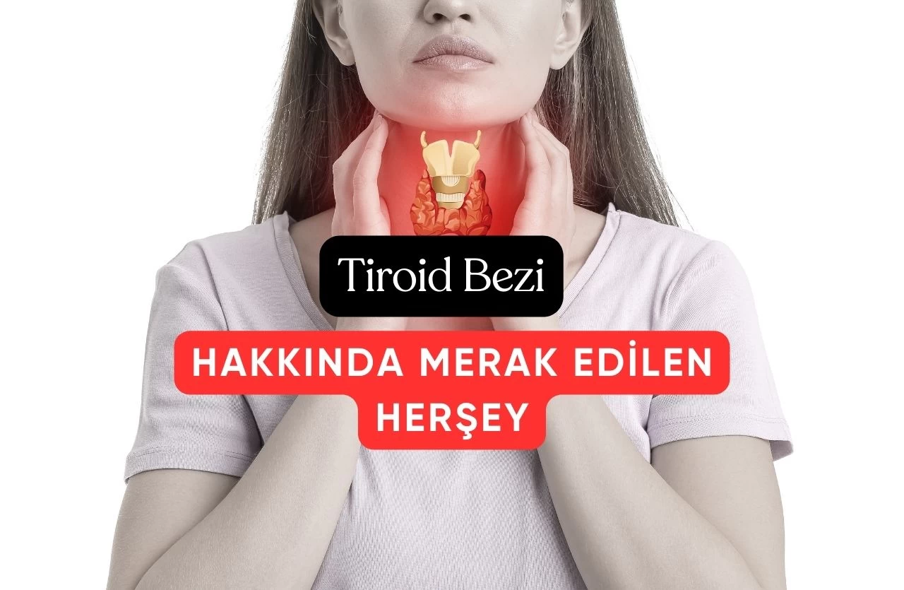 Tiroid Bezi ve Sağlığınız: Belirtiler, Tedaviler ve Sıkça Sorulan Sorular