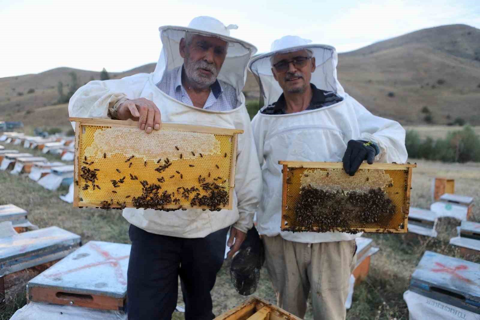 Ağrı’da Emekli Polis ve Abisinin Hobi Olarak Başladığı Arıcılıkta 7 Ton Bal Üretildi