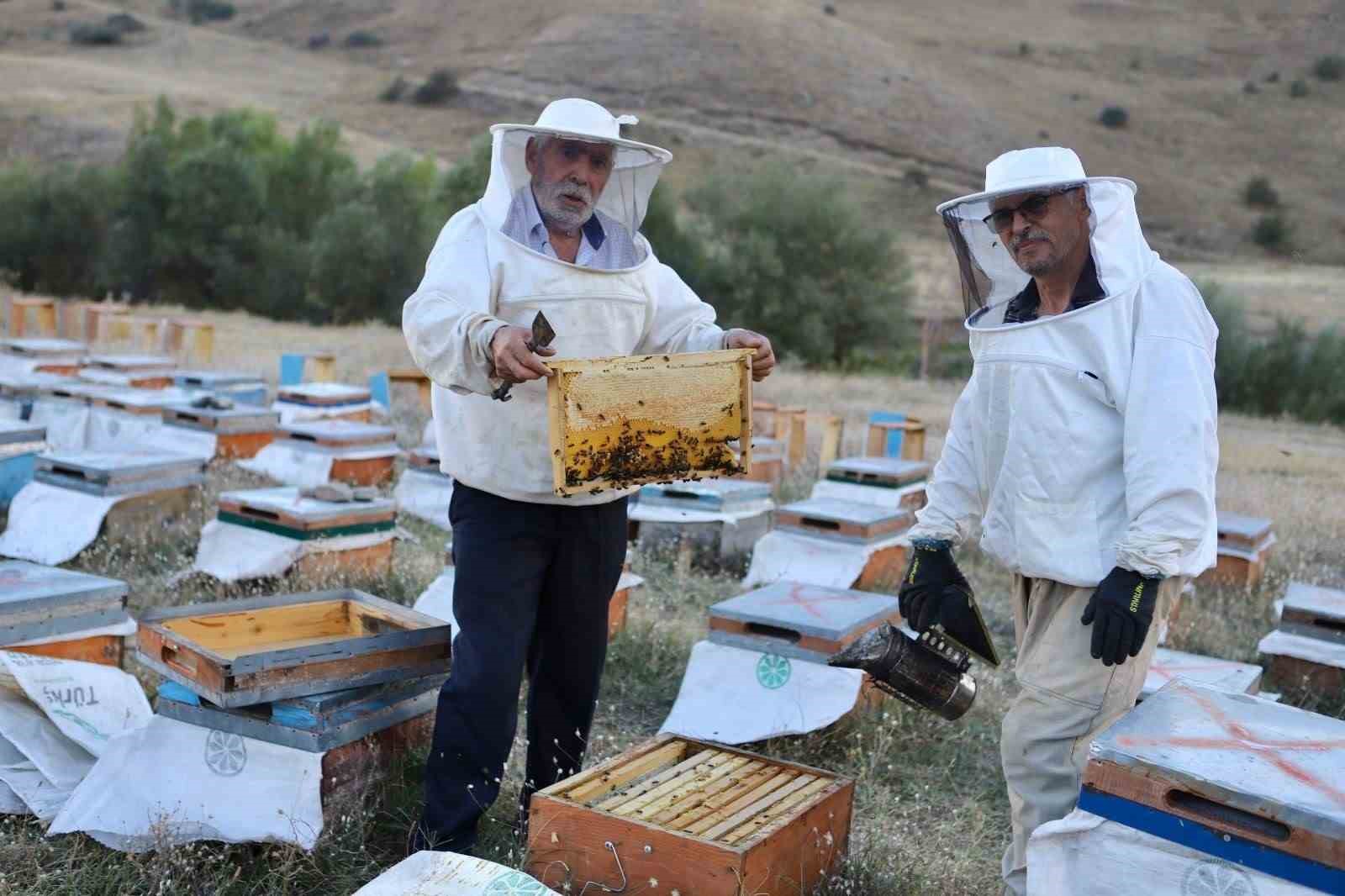 ariciliga-hobi-olarak-baslayan-emekli-polis-memuru-ve-abisi-7-ton-bal-uretti