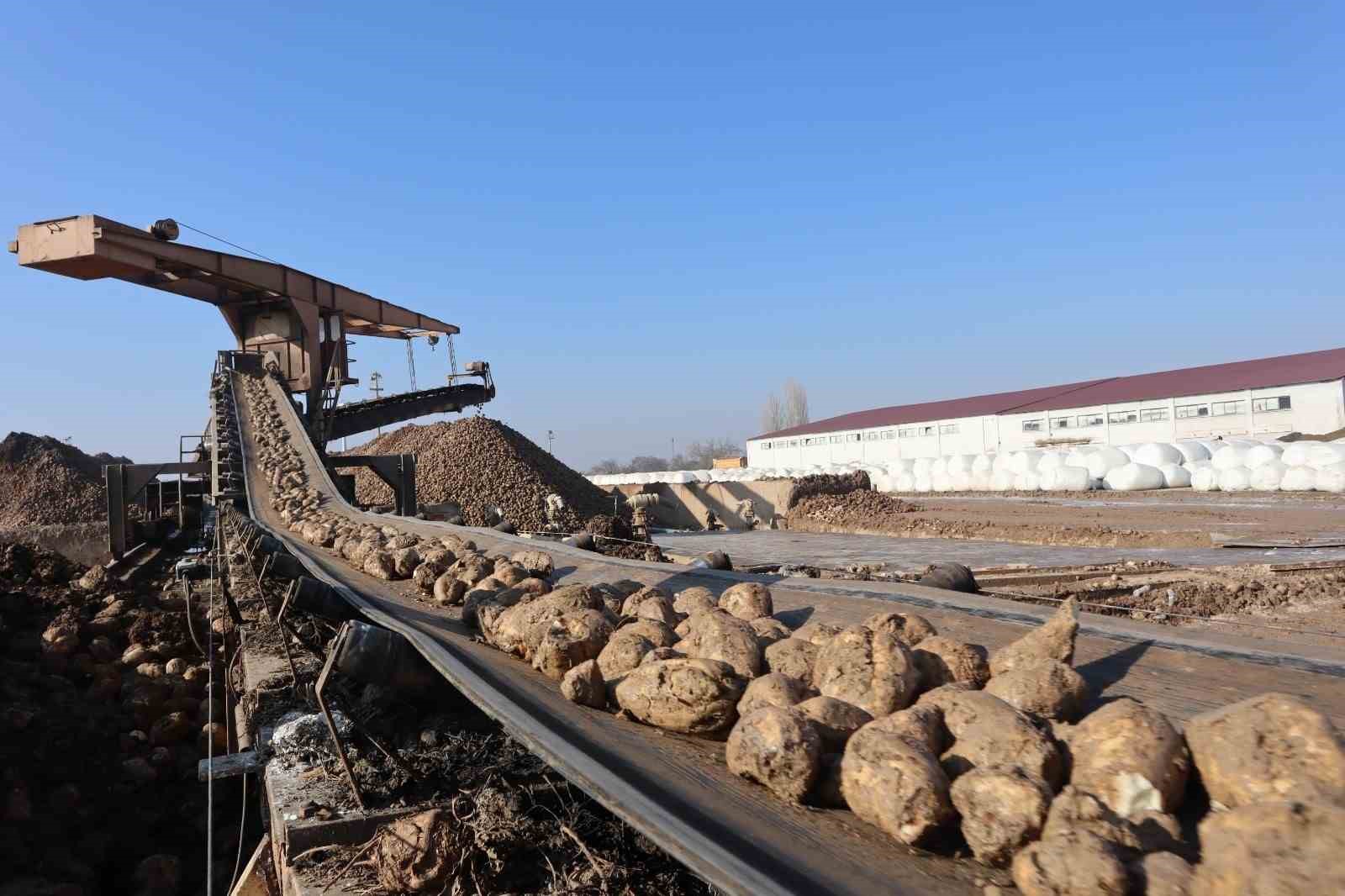 Malatya Şeker Fabrikası, Bu Yıl Hedefini 55 Bin Ton Şeker Üretimine Çıkardı