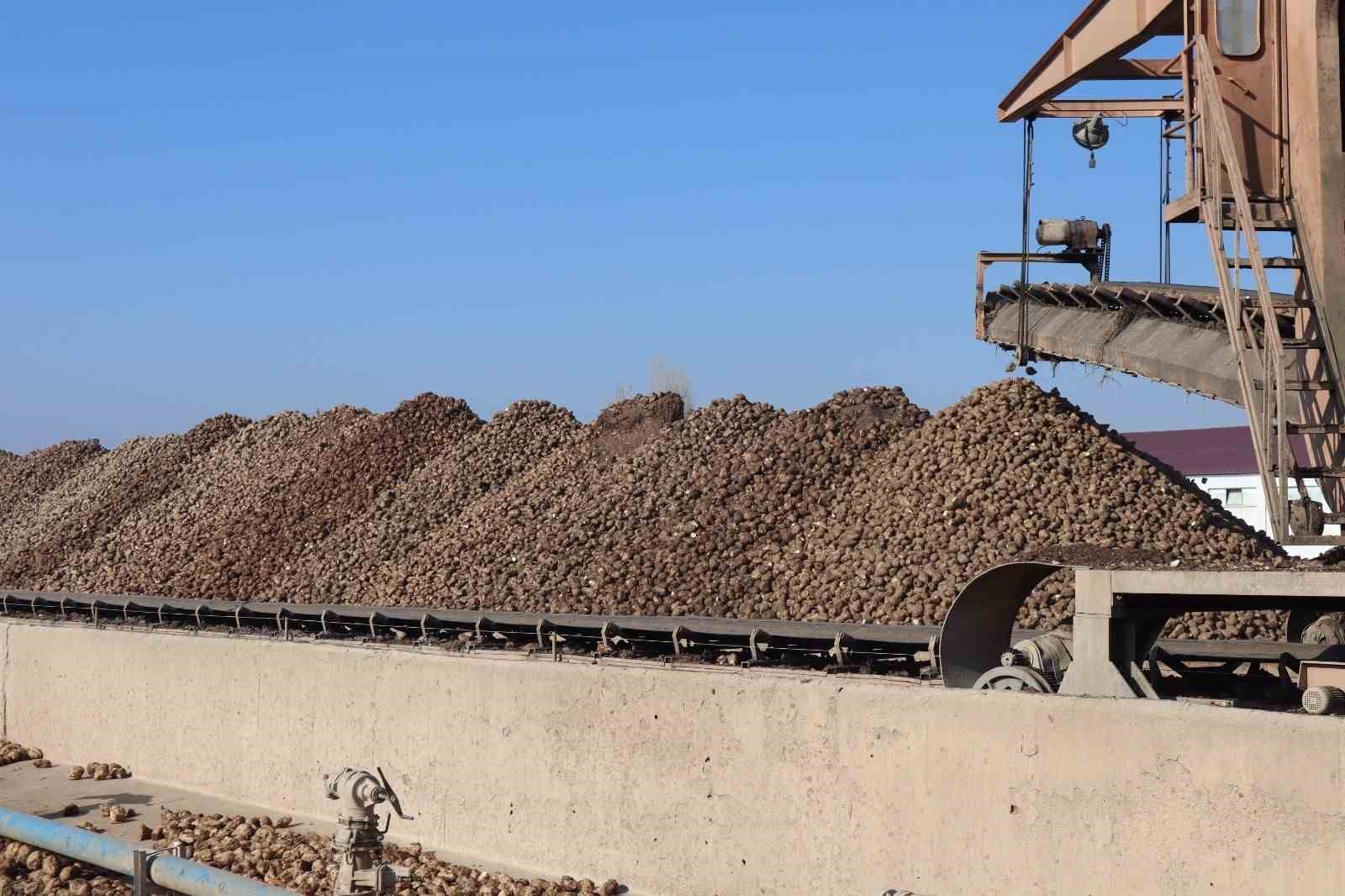 malatya-seker-fabrikasinda-hedef-55-bin-ton-seker-uretimi