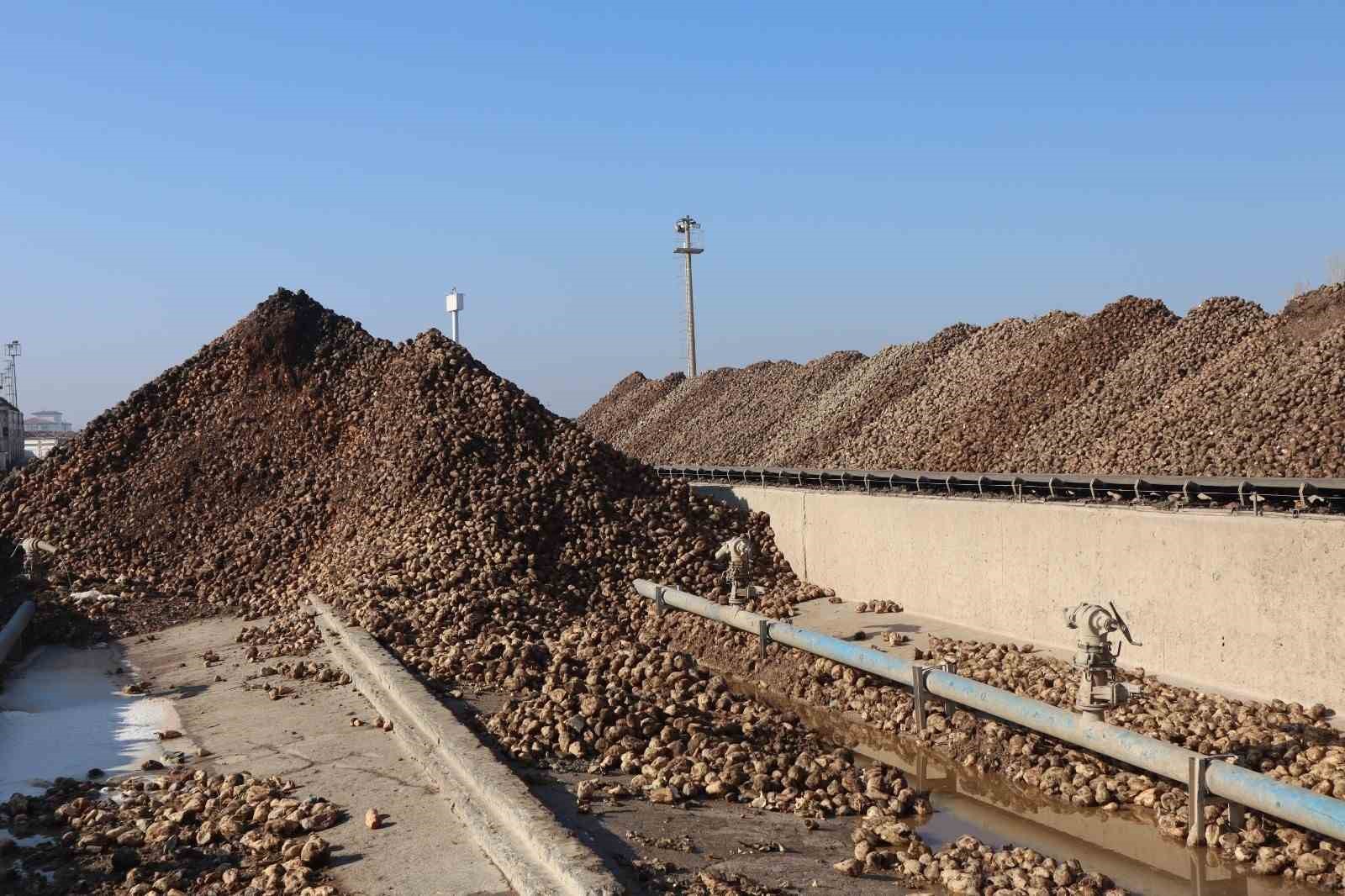 malatya-seker-fabrikasinda-hedef-55-bin-ton-seker-uretimi