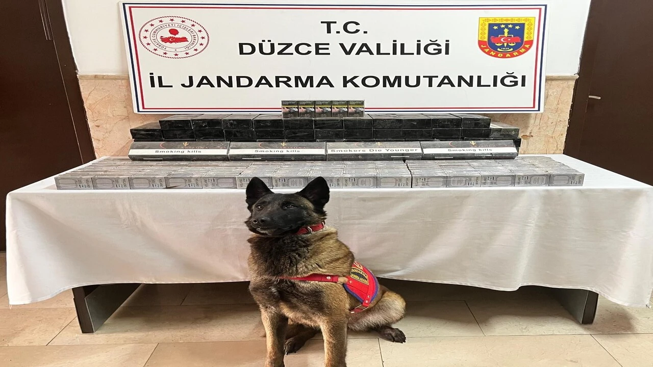 Düzce’de kaçak sigara operasyonu: Bin 69 paket ele geçirildi