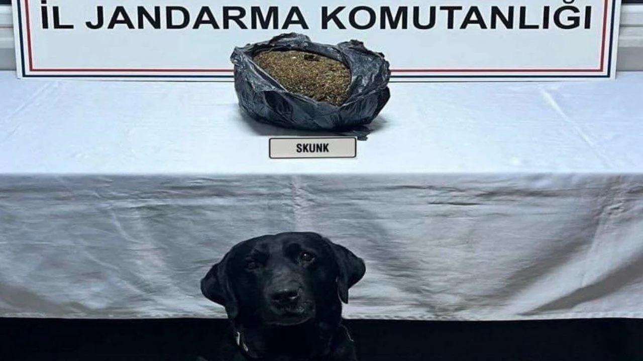 Otomobilde kaputun altında gizlenmiş bin 70 gram uyuşturucu ele geçirildi