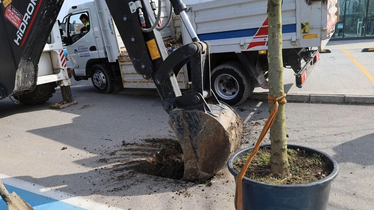 Sakarya yeşille buluşuyor: Estetik ve çevreci dokunuşlar